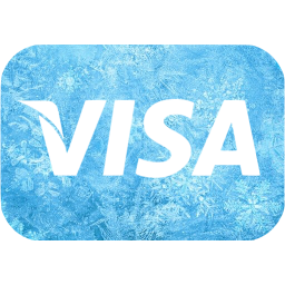 visa icon