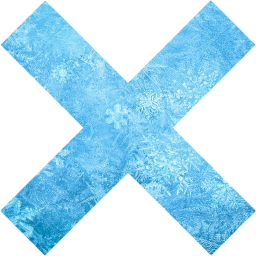 x mark icon