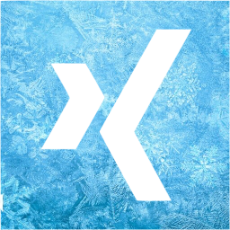 xing 2 icon