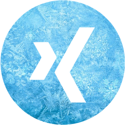 xing 4 icon