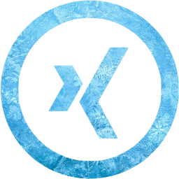 xing 5 icon