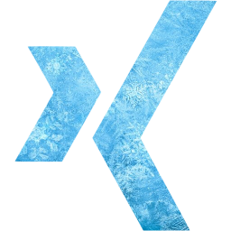 xing icon