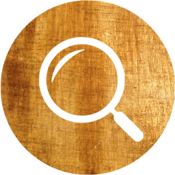 active search 2 icon