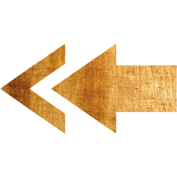 arrow 113 icon