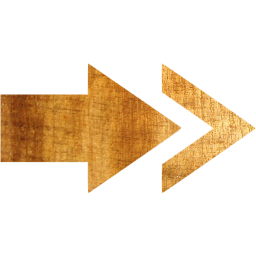arrow 13 icon