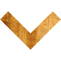 arrow 204 icon