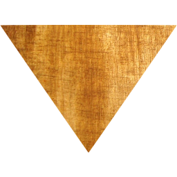 arrow 217 icon