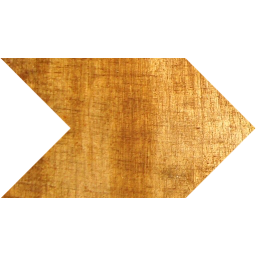arrow 51 icon