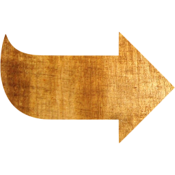 arrow 53 icon