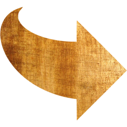 arrow 55 icon