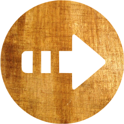 arrow right 5 icon