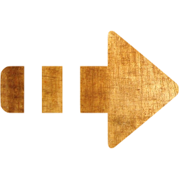 arrow right 6 icon