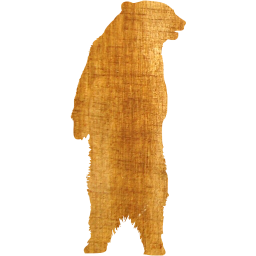 bear icon