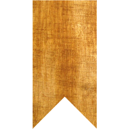 bookmark 5 icon