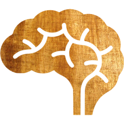 brain icon