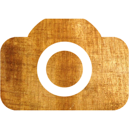 camera 4 icon