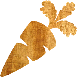 carrot icon