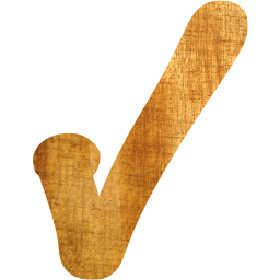 check mark 5 icon