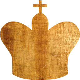 chess 17 icon