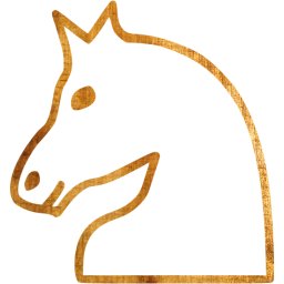 chess 5 icon