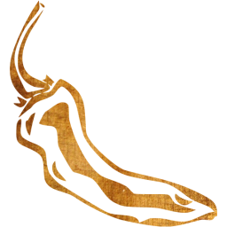 chili pepper 10 icon