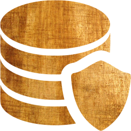 data protection icon