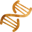 dna helix