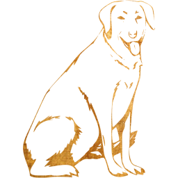 dog 13 icon