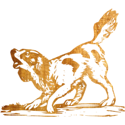 dog 22 icon