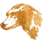 dog 27