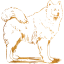 dog 4