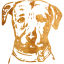 dog 6