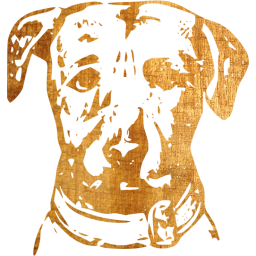 dog 6 icon