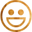 emoticon 24