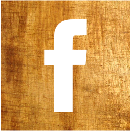 facebook 2 icon