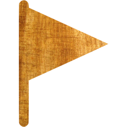 filled flag icon