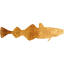 fish 4