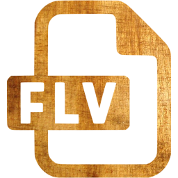 flv icon