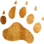 footprints bear