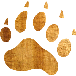 footprints bear icon