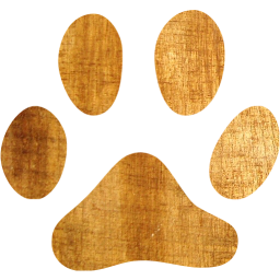footprints cat icon
