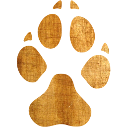 footprints dog icon
