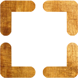fullscreen 12 icon