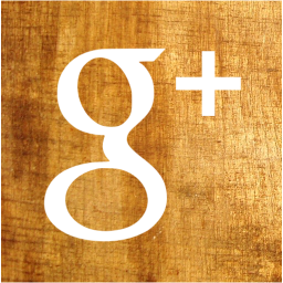 google plus 2 icon