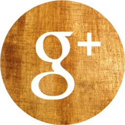 google plus 4 icon