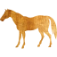 horse 4