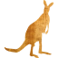 kangaroo 2