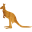 kangaroo 4