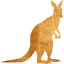 kangaroo