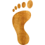 left footprint
